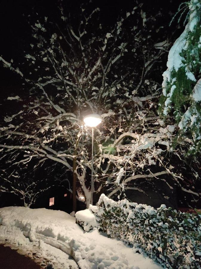 La Terrasse 226 Lejlighed Malmedy Eksteriør billede