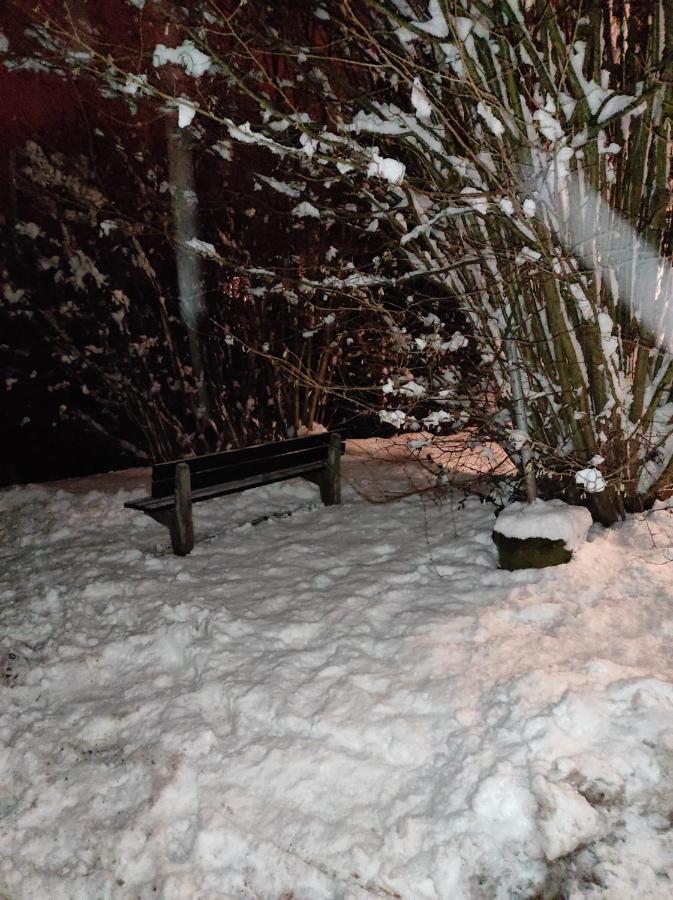 La Terrasse 226 Lejlighed Malmedy Eksteriør billede